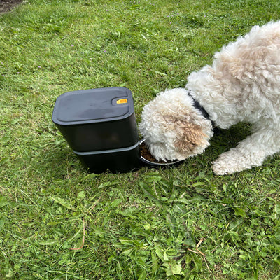 Pet Feeder - Den ultimative foderautomat til hunde