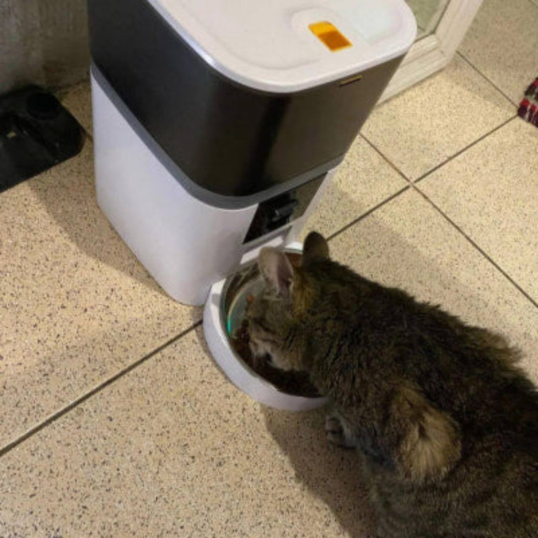 Pet Feeder Pro - Den ultimative foderautomat til katte